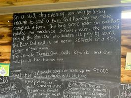 Wildlife facts/info, greatly enjoyed!