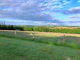 Beautiful view