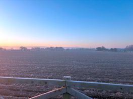Morning view!