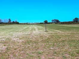 Pitch