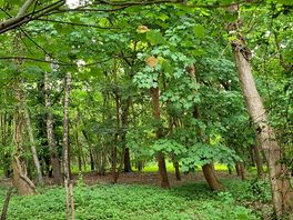 Surrounded by green 😍