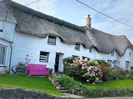 Absolutely beautiful homes