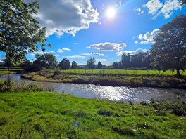 Lovely river along side the campsite
