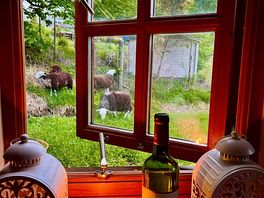 How the herdwick huts got their name!