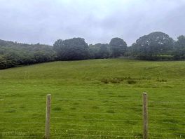 View of the grounds
