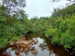 Scenery from around the area