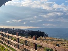 Amazing views