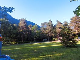The views