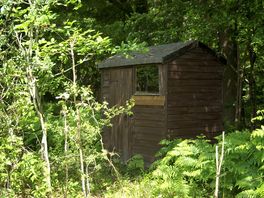 Cabin with outdoor game supplies