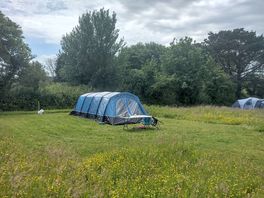 In the upper solar field, large pitch only for tents