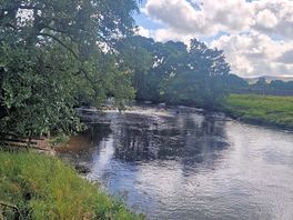 River eden