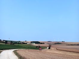 View back to farm