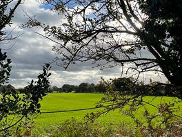 Morning view from our pitch