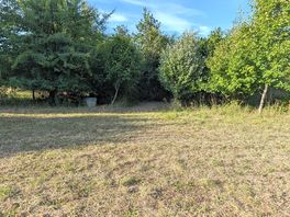 View of the site