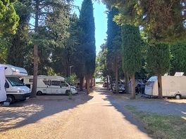 Camp