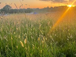 Beautiful sunset