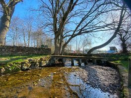 Stream alongside site