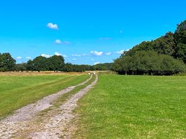 Out on a run from the site