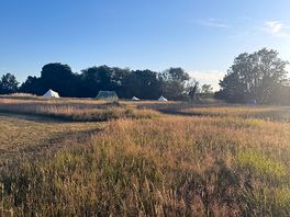 Campsite
