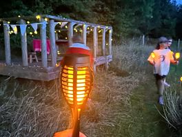 Solar lights