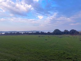 Estuary view