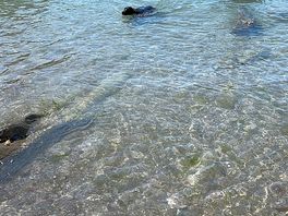 Stoke beach