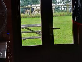 View from inside the pod. nice to wake up and see cattle.