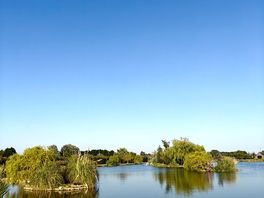 View of the lake from the lodge
