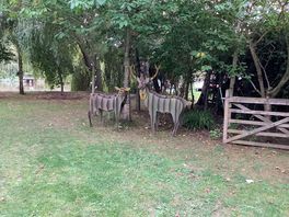 The gardens where events take place