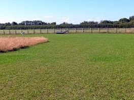 The lovely dog field!