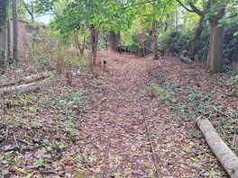 Around the site