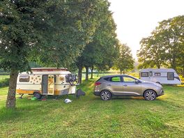 Grass pitches