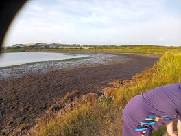 View of costal path