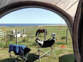 View from the awning