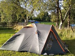 Peaceful corner on a big field