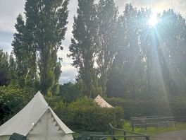 Morning on site