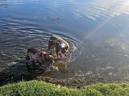 Cooling off