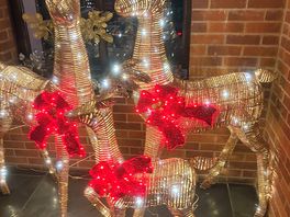 Gorgeous christmas decorations