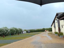 The site