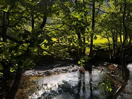 Lovely stream and walking route