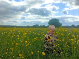 🌼🌼🌼