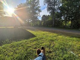 Avond zon