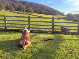Taking in the scenery