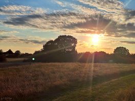 Sunny evening