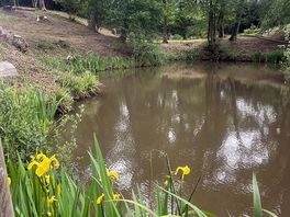 The fishing pond on site