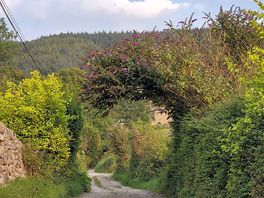Path from howgill lodge to river footpaths