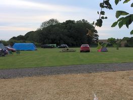 Grass pitches