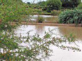 One of the lakes.