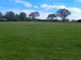 Three children running free