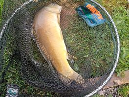 1st cast and about 20 more in a 1hr session